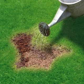 Miracle-Gro Patch Magic Grass Seed, Feed & Coir 1.1kg 4 Miracle-Gro Patch Magic Grass Seed, Feed & Coir 1.1kg - Image 4