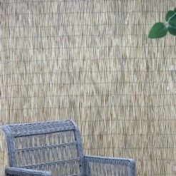 B&M Peeled Reed Screening 100 X 300cm