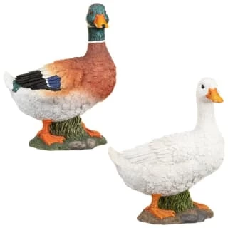 B&M Resin Duck Garden Ornament - White 3 B&M Resin Duck Garden Ornament - White - Image 3