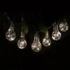 Solar Powered 12 Clear Light Bulb String LED Lights - Warm White