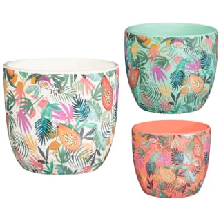 B&M Superbloom Sun Ceramic Plant Pots 3pk - Floral 1 B&M Superbloom Sun Ceramic Plant Pots 3pk - Floral