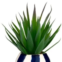 B&M Small Succulent -Home Decor Sales 380107 small succulent 2