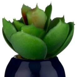B&M Small Succulent -Home Decor Sales 380107 small succulent 6