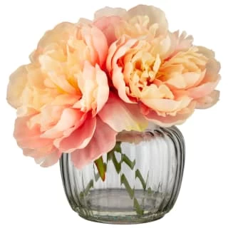 B&M Peony In Ribbed Glass Vase 1 B&M Peony In Ribbed Glass Vase