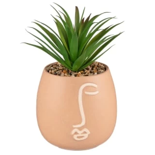 B&M Face Planter 1 B&M Face Planter