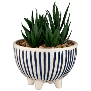 B&M Scandi Shore Stripe Succulent 1 B&M Scandi Shore Stripe Succulent