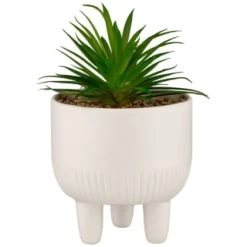 B&M Scandi Shore Succulent In White Pot
