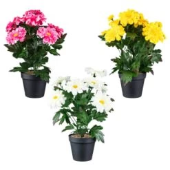 B&M Zinnia Plant Pot - Yellow -Home Decor Sales 392826 zinnia in pot group