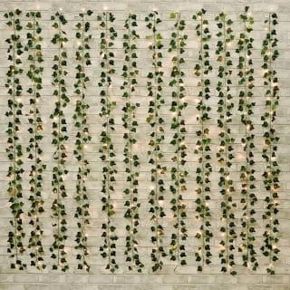 Solar Powered Artificial Ivy Leaf Curtain 180 X 180cm 1 Solar Powered Artificial Ivy Leaf Curtain 180 X 180cm