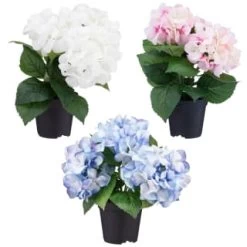 Bloom Hydrangea In Pot - Pink -Home Decor Sales 392961 hydrangea in pot group1